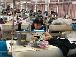 人工成本激增下穩(wěn)產突圍 盛澤服裝廠的專注生存法則
